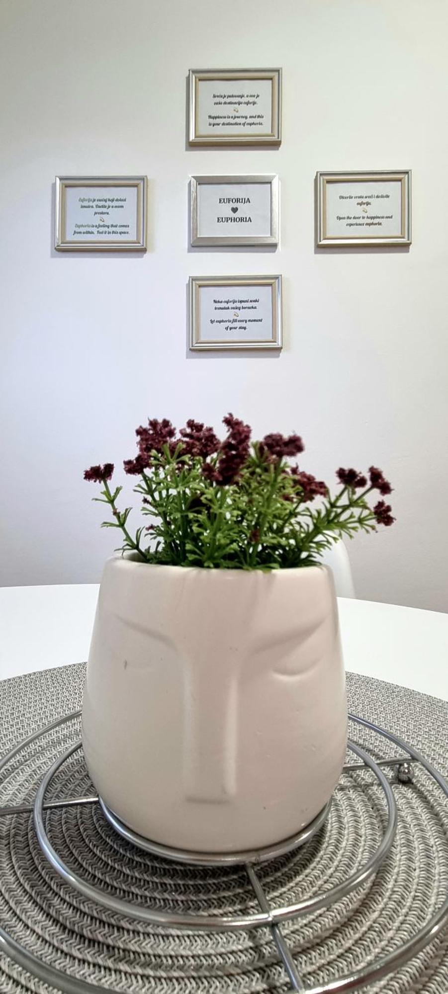 Euforia Apartment เบลเกรด ภายนอก รูปภาพ